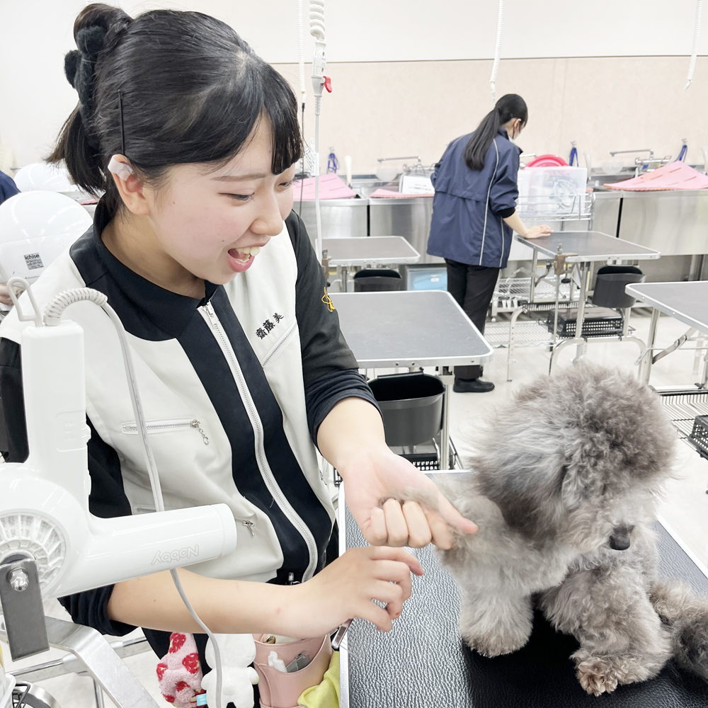 ２年生のトリミング実習♪